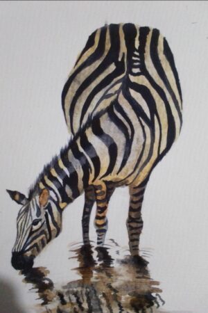 Zebra Art